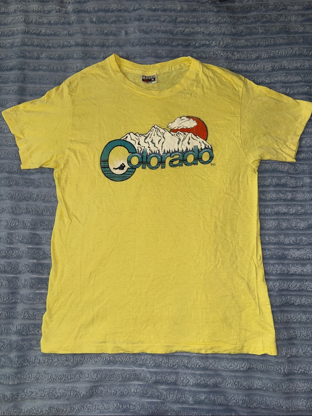 Vintage 1979 Hanes Colorado Mountain Landscape Graphic Tee Single Stitch L